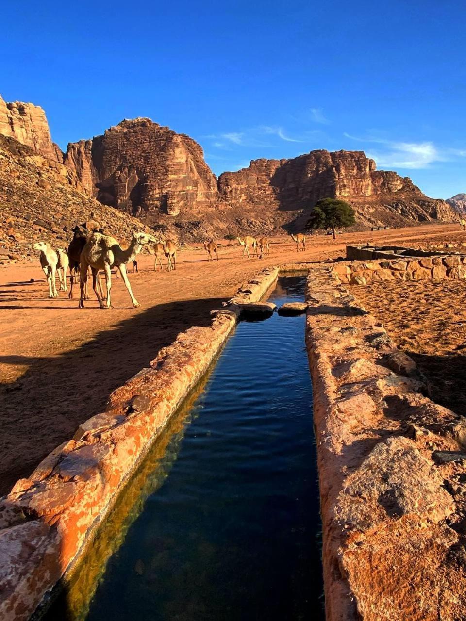 Wadi Rum Magic Nature Camp Exterior foto